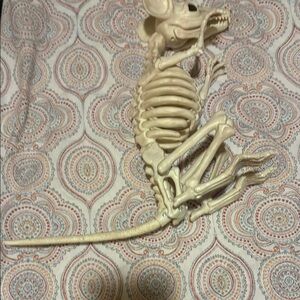 Cream Skeleton Mouse Halloween Decor